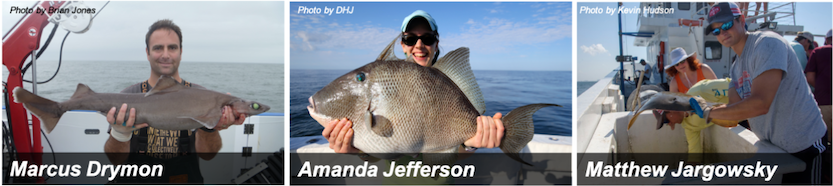 Photos of people holding fish. From left to right: Marcus Drymon, Amanda Jefferson, Matthew Jargowsky